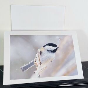 Black Capped Chickadee Matte Finish Blank Inside - 4 Card Lot of the Same Photo